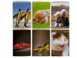 ZESZYT A5/16K KRATKA A20 0904