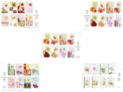 LAURKA B6W WYCINANA 33XX