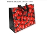 TORBA NA ZAKUPY 47X37X19 5396