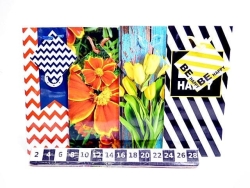 TOREBKA LAMINOWANA B10 100*220*50 2339