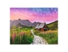 PUZZLE 500 EL HALA GASIENICOWA TATRY 558